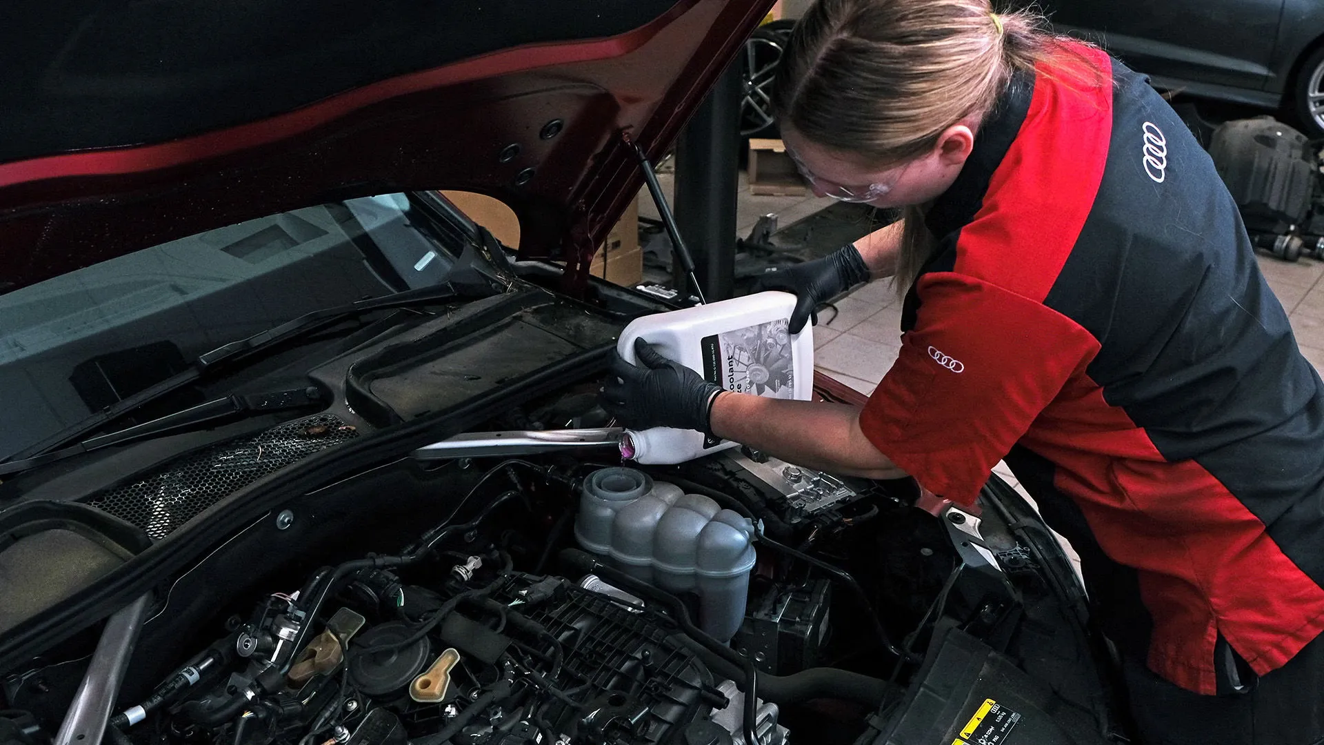 Program Audi Serwis 6+